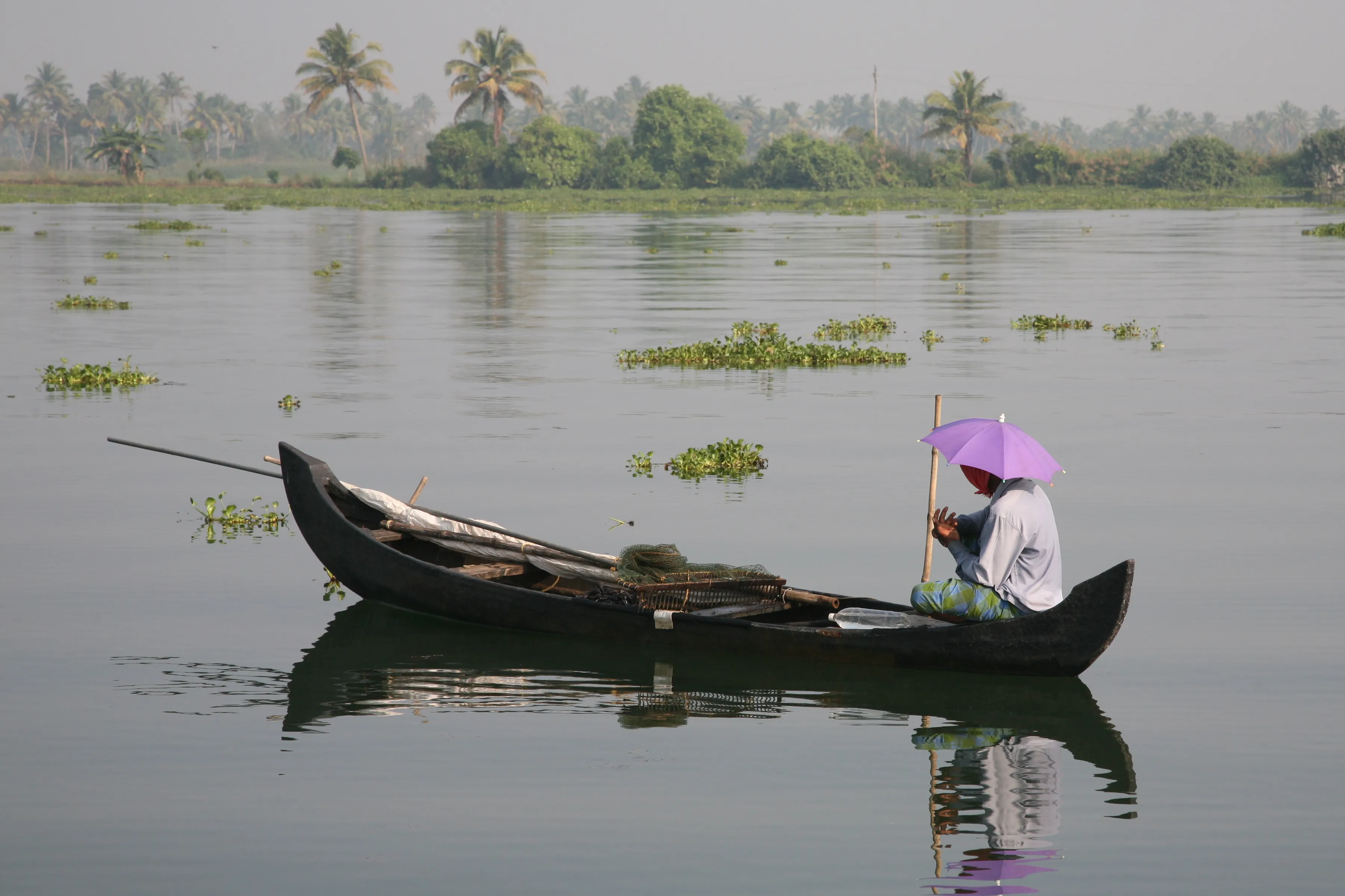 A Journey Through Many Worlds — India