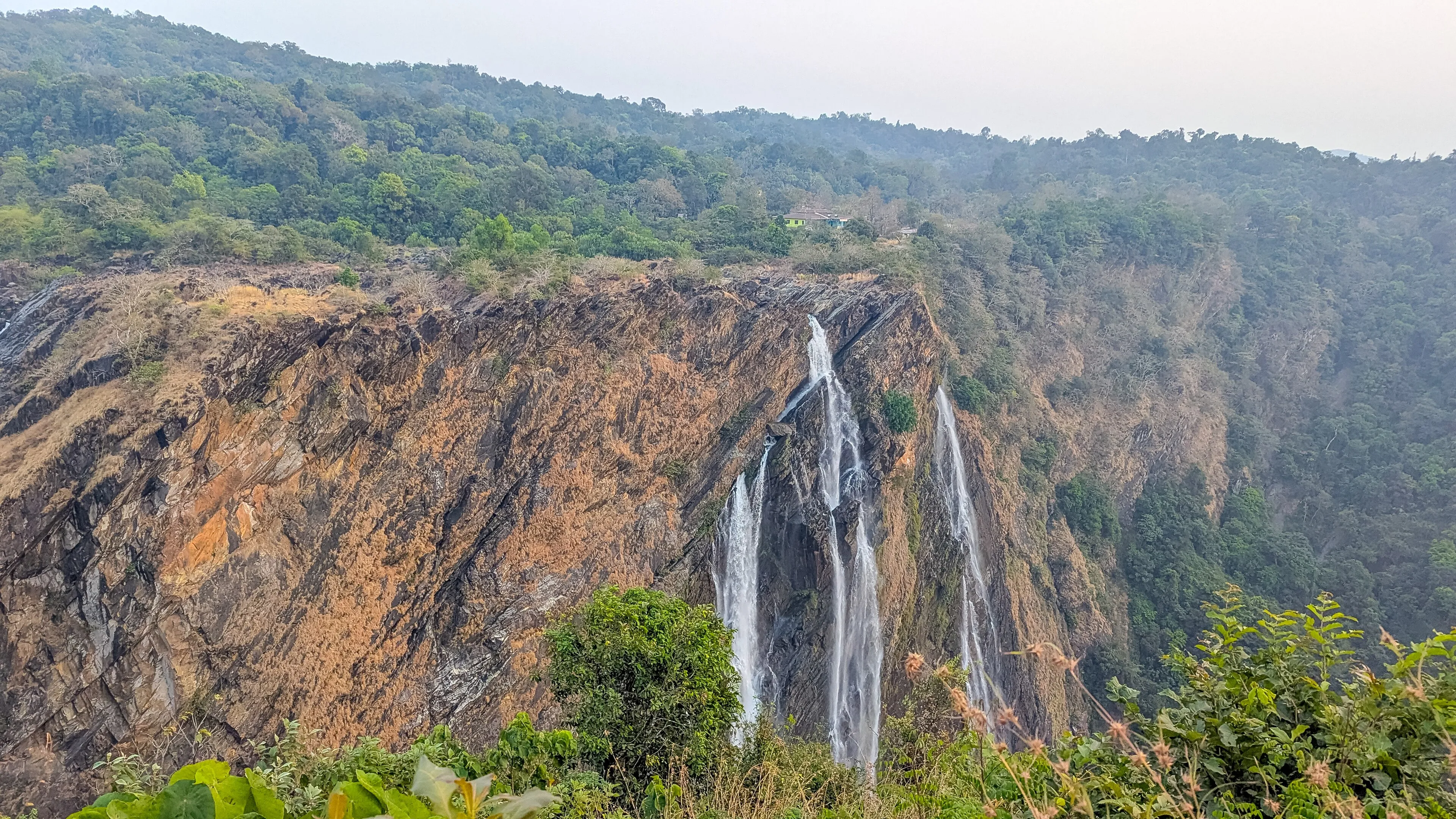Black Buck Resort — Vilasapura, Jayamangali