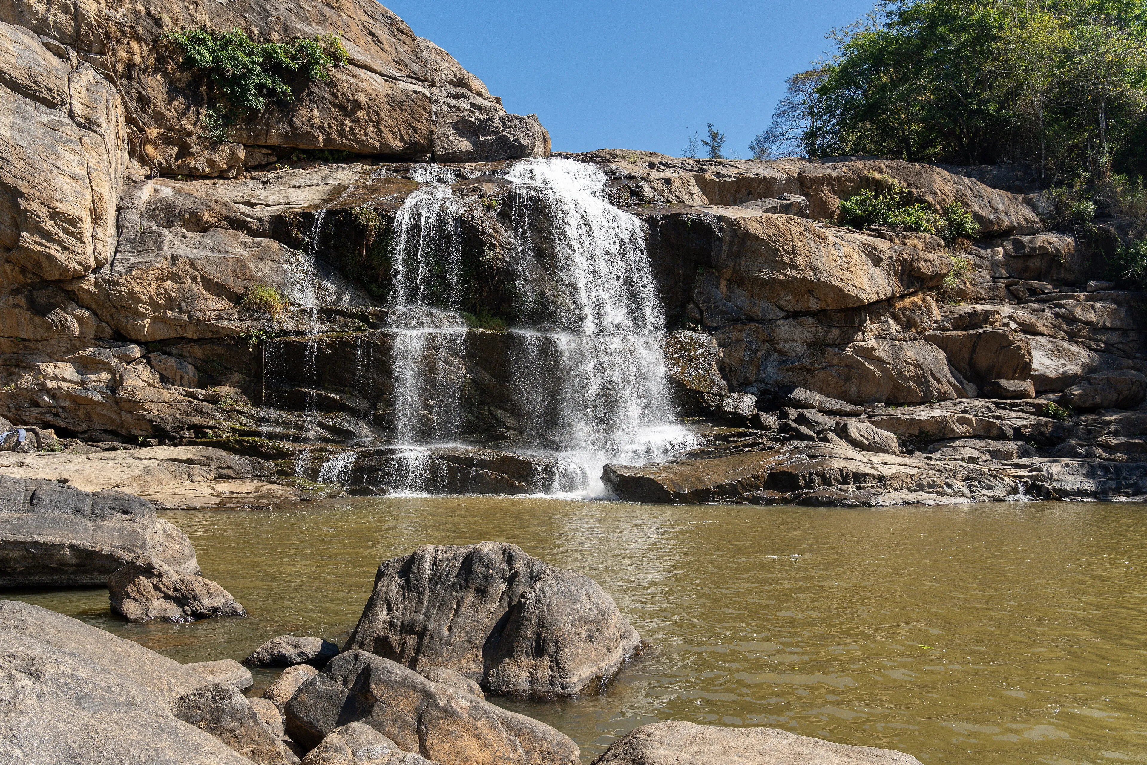 Dasara & Coorg Tour — undefined