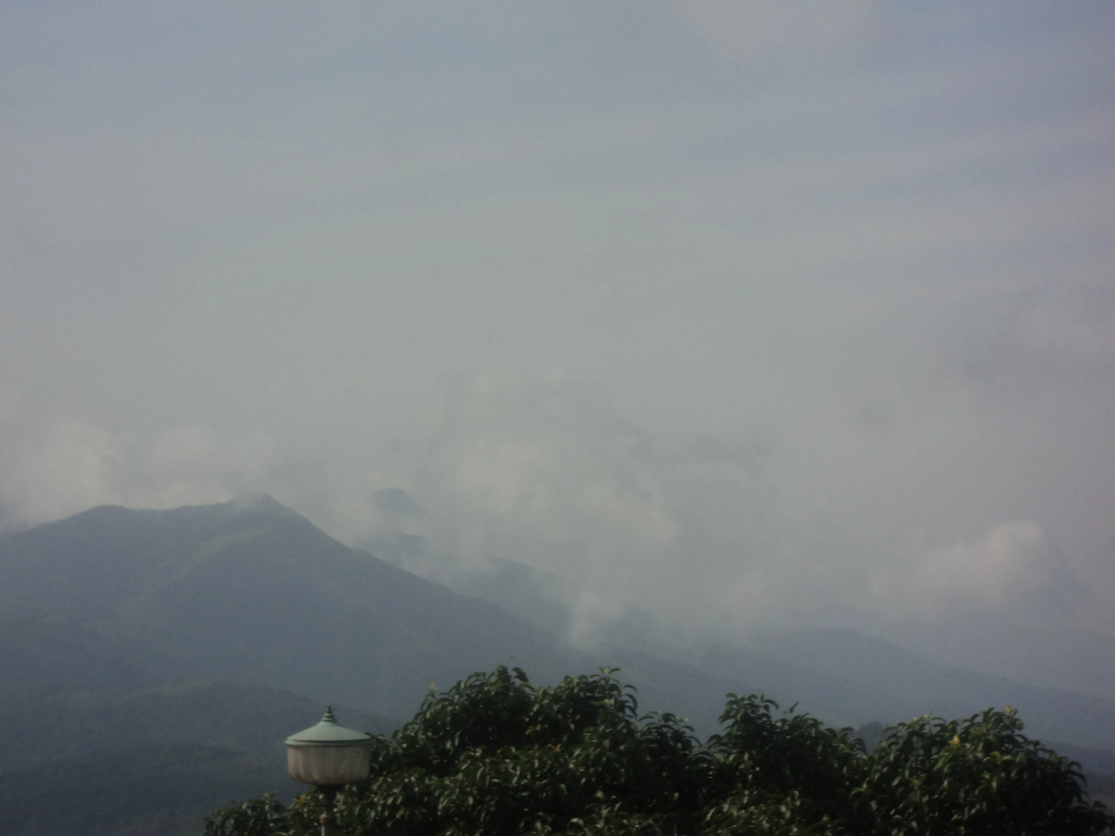 Coffee plantations on the misty hills of Coorg, Karnataka