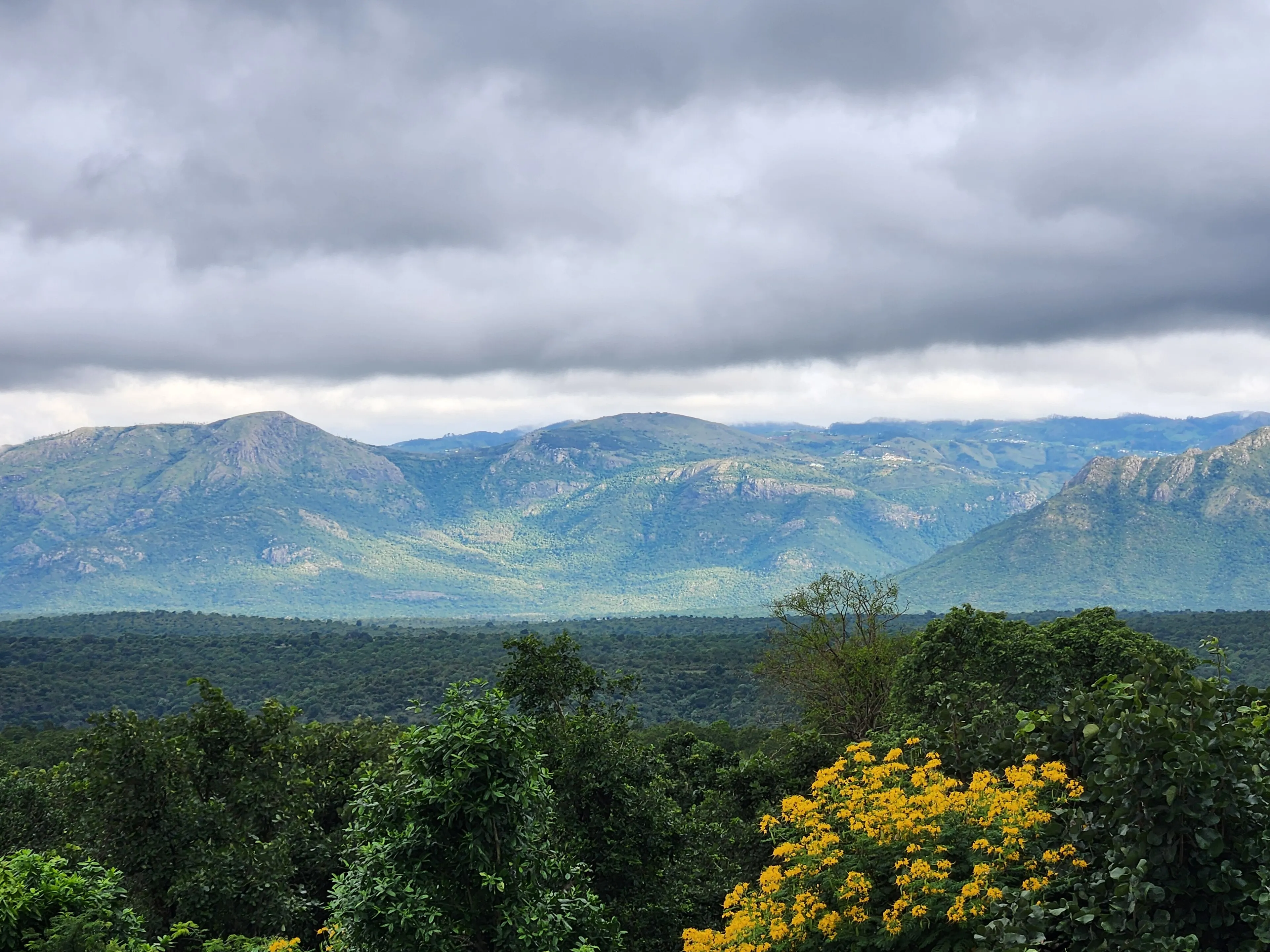 The Serai Kabini — Kabini, Karnataka
